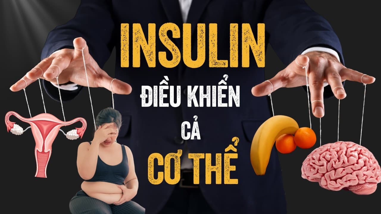 Mỡ bụng, PCOS và rối loạn cương — insulin không chỉ là chuyện tiểu đường